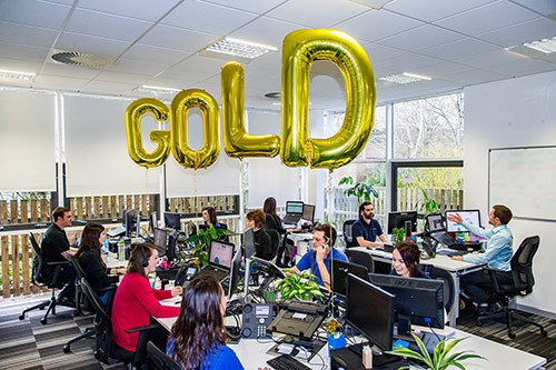 ecosurety celebrates winning the Investors in People Gold award in the office