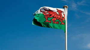 Wales announces business recycling collections regulations